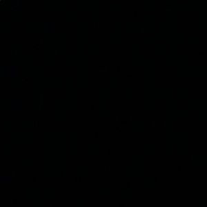 Meet your Posher, Gracie